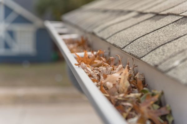 Leaf Barrier Installation in Lincolnton